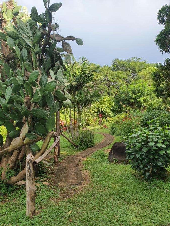 El Encanto Garden Hotel Santa Cruz Dış mekan fotoğraf